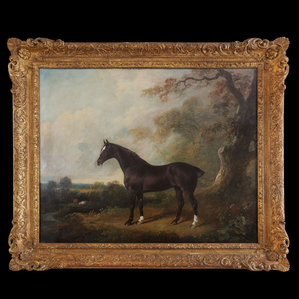 Oil Painting of a Horse Standing Proud in Woodland