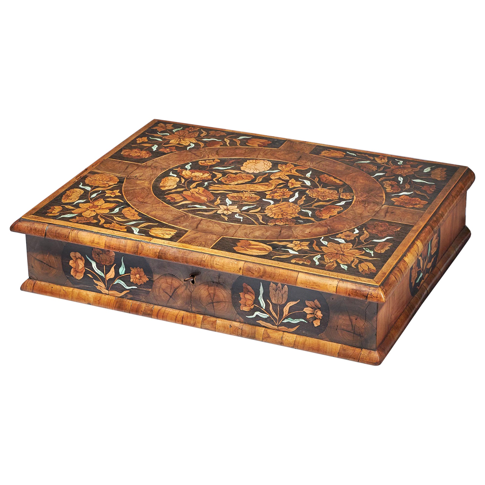 Olive Oyster Marquetry Lace Box