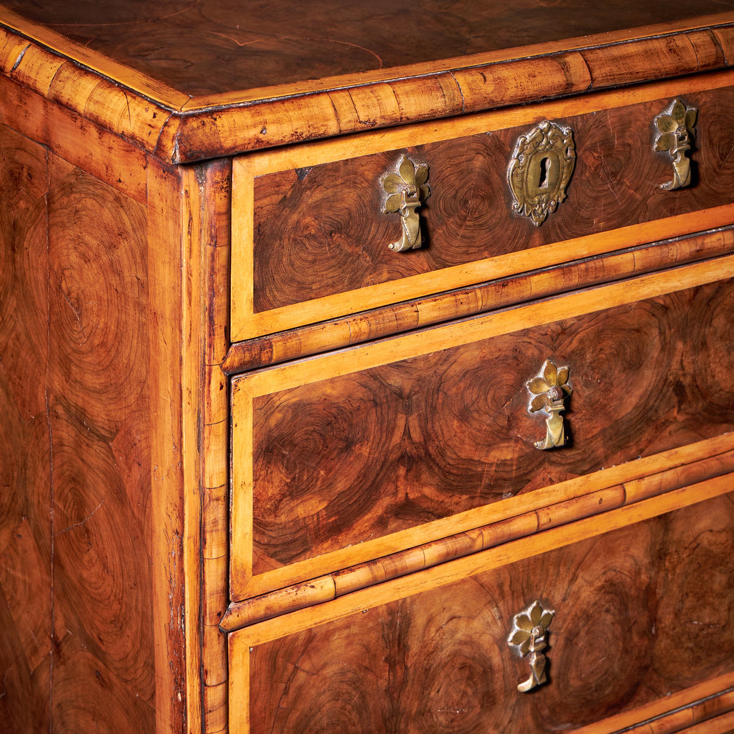 17th Century William and Mary Olive Oyster Chest of drawers, Circa 1690. England 4