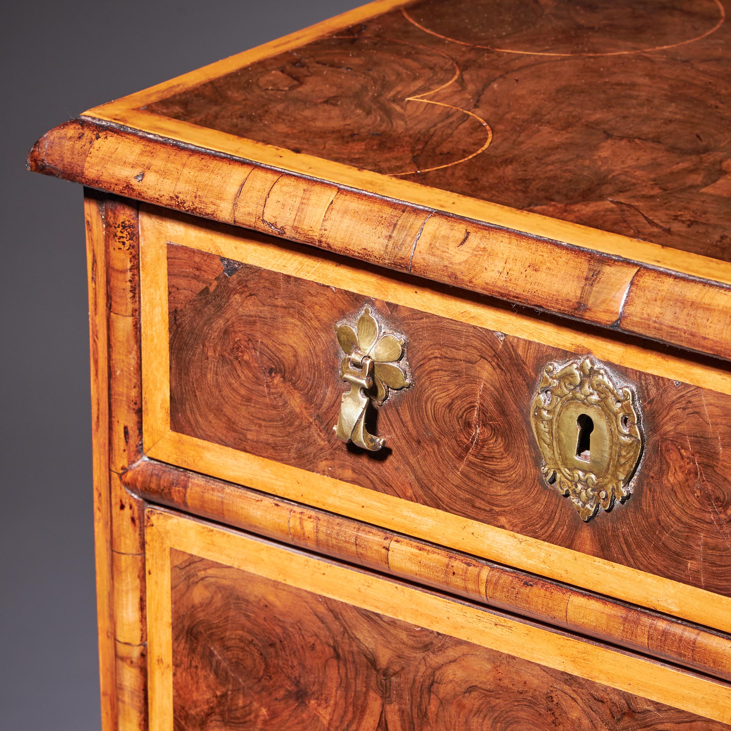 17th Century William and Mary Olive Oyster Chest of drawers, Circa 1690. England 17