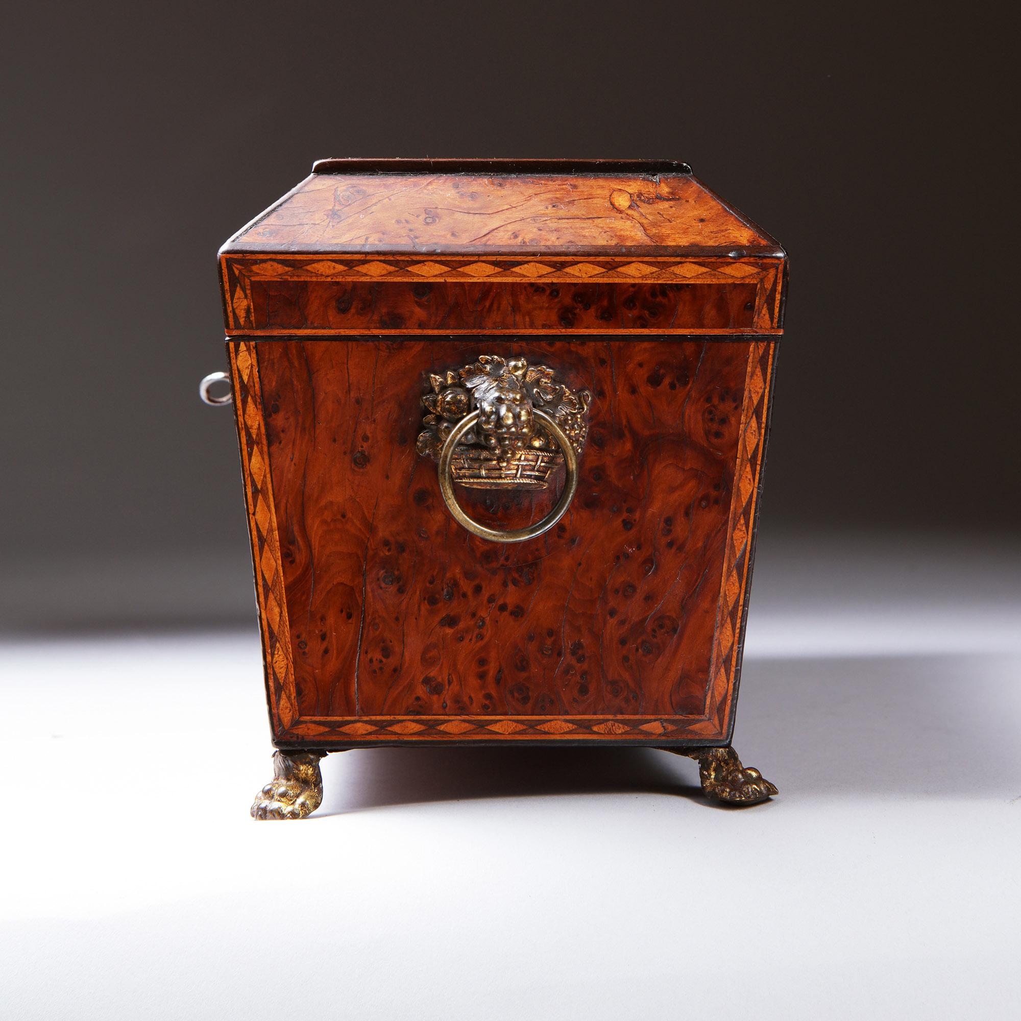 18th Century George III Burr Yew Tea Caddy with Star Inlay and Brass Accents 3