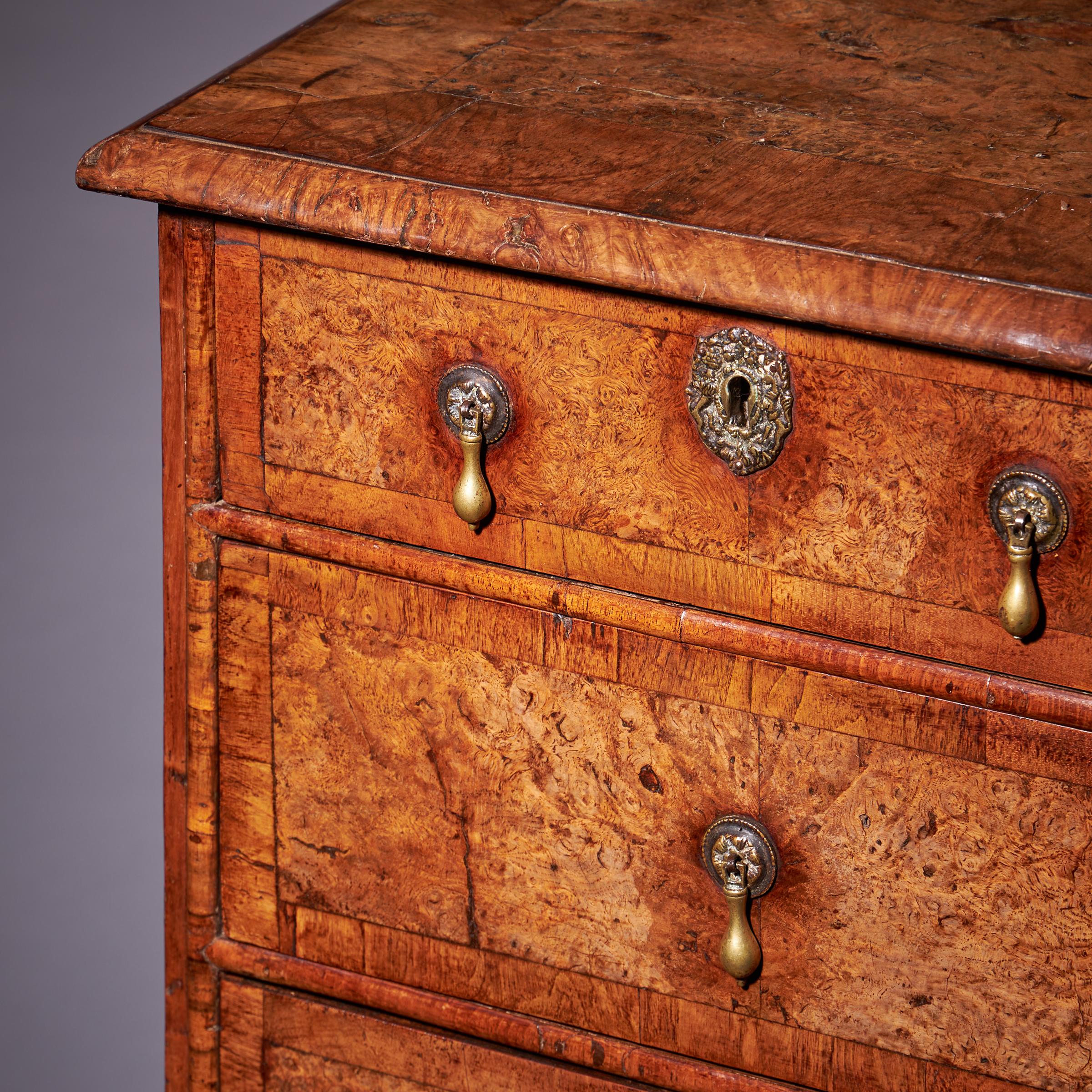 Important 17th Century William and Mary Bur Pollard Oak Chest of drawers 11