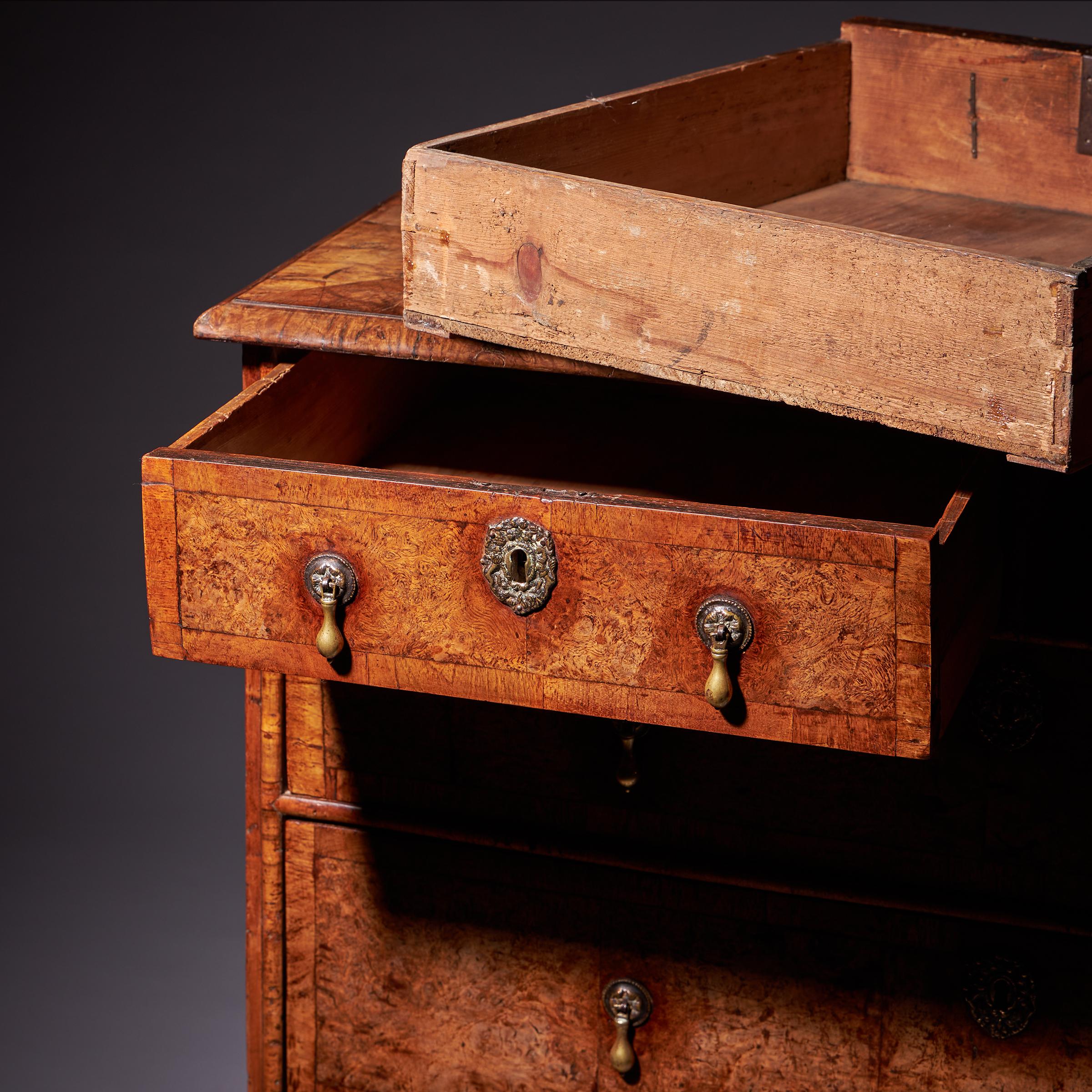 Important 17th Century William and Mary Bur Pollard Oak Chest of drawers 13