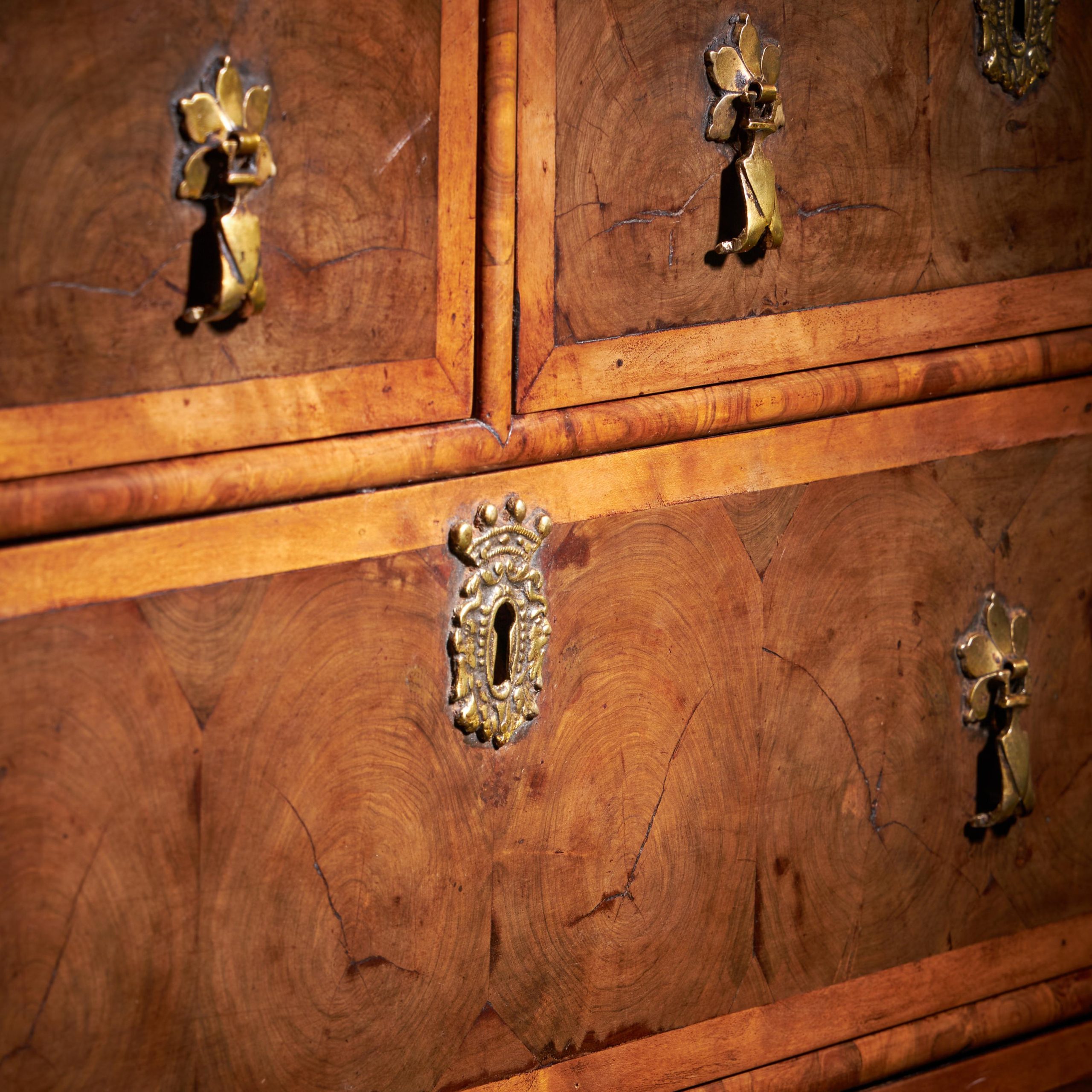 17th Century William and Mary Blond Olive Oyster Chest of drawers, Circa 1690 5